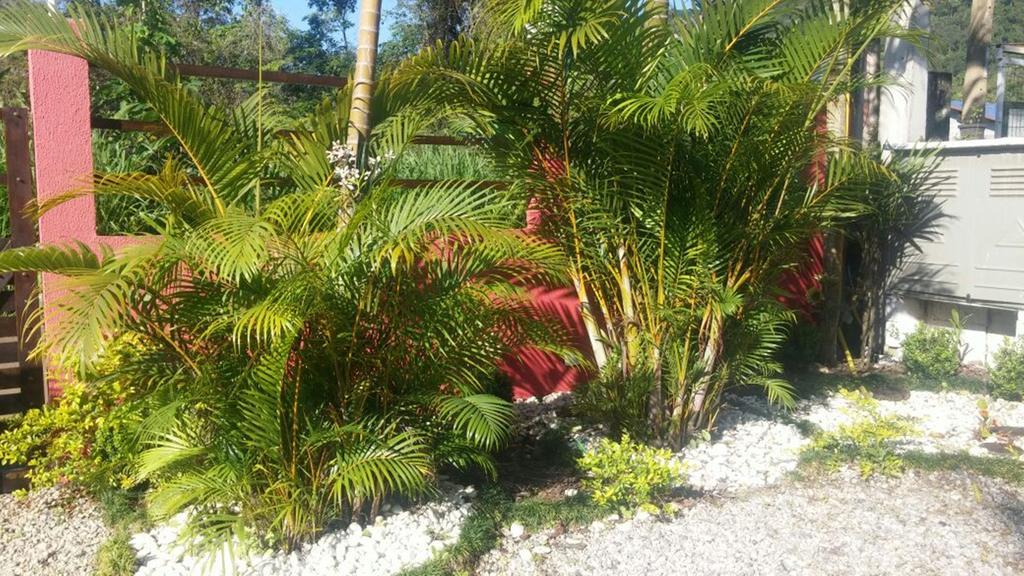 Sol Nascente Suites Itamambuca Ubatuba Exterior foto